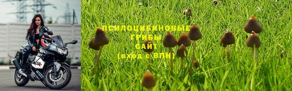 дмт Алексин