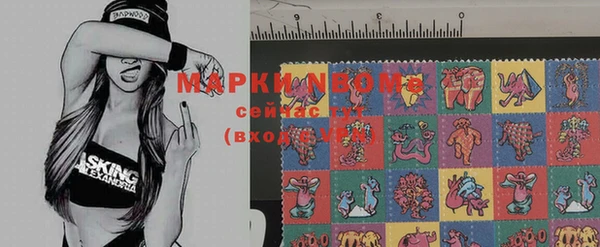 дмт Алексин