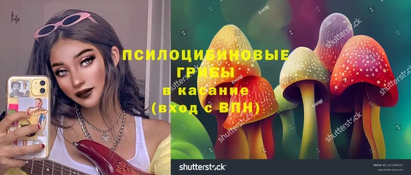прущие крисы Алексеевка
