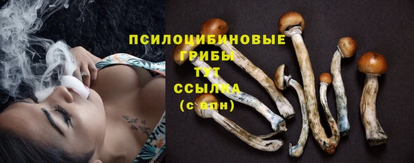 дмт Алексин