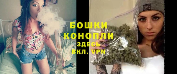 гидропоника Елабуга
